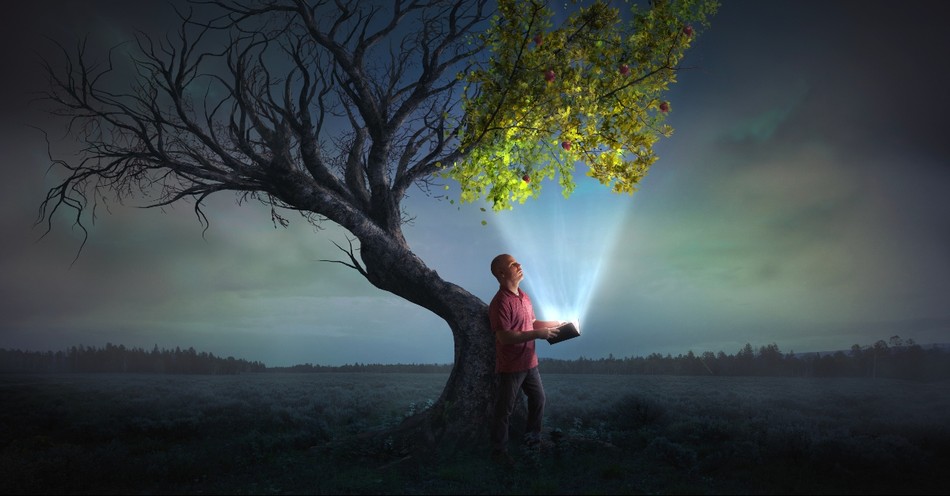 THE TWO HALVES OF A BELIEVER