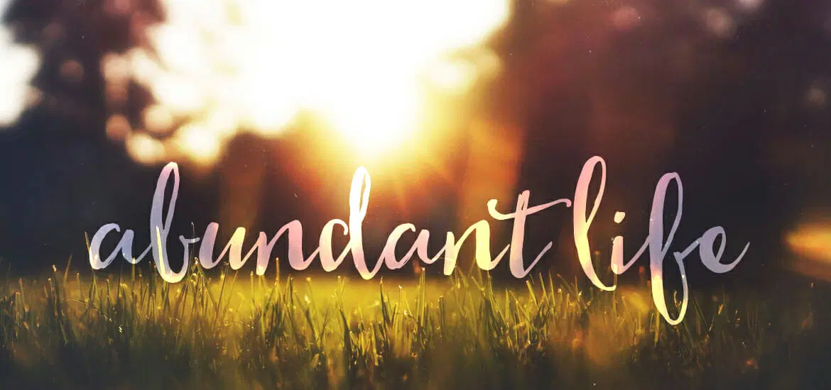 THE ABUNDANT LIFE