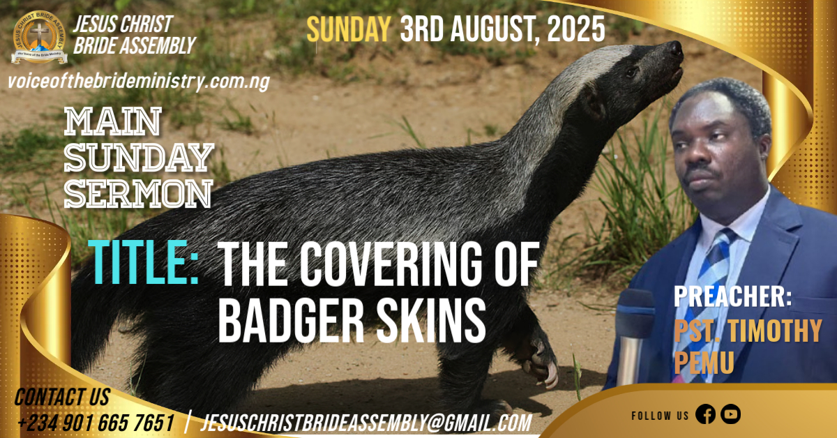 THE COVERING OF BADGER SKINS